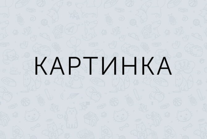 Корпоративные календари и сувенирная продукция для крупных брендов-1