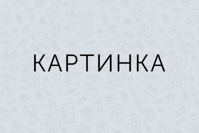 Фолд-меню для винного бара